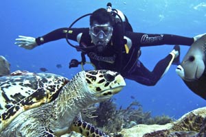 clear water in pattaya