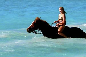 horse riding in thailand